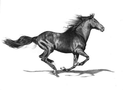 1581516 (a): :2338x1700